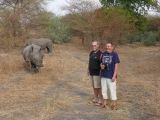 J 17 Réserve de Bandia jeunes rhinocéros