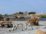 K 16 Joal Fadiout greniers sur pilotis