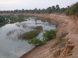 E 36 Niokolo Koba