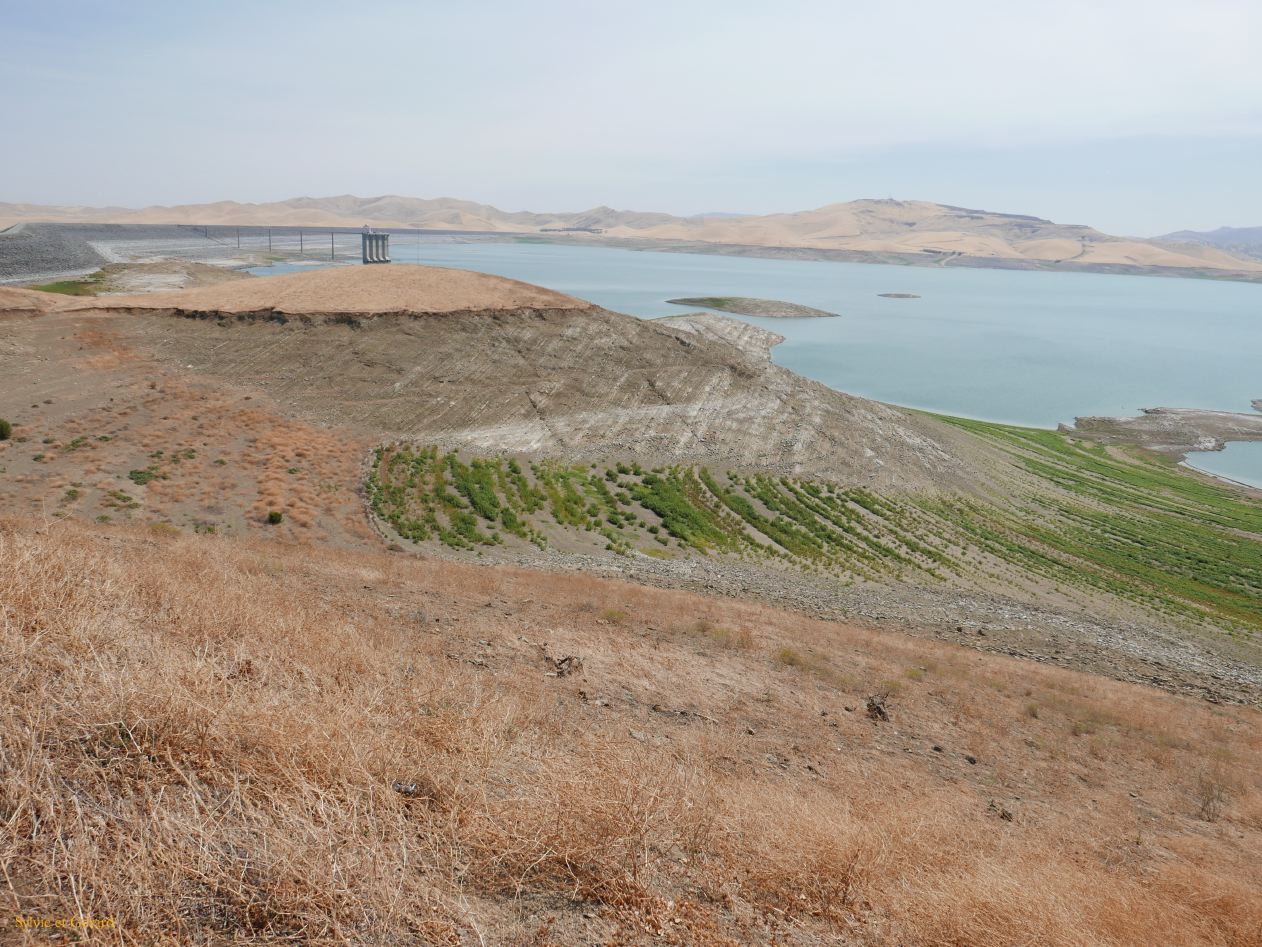 I 03 San Luis Reservoir 5 ans de sécheresse en Californie