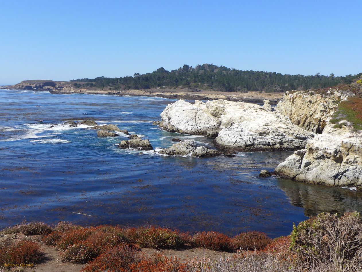 M 08 Point Lobos 