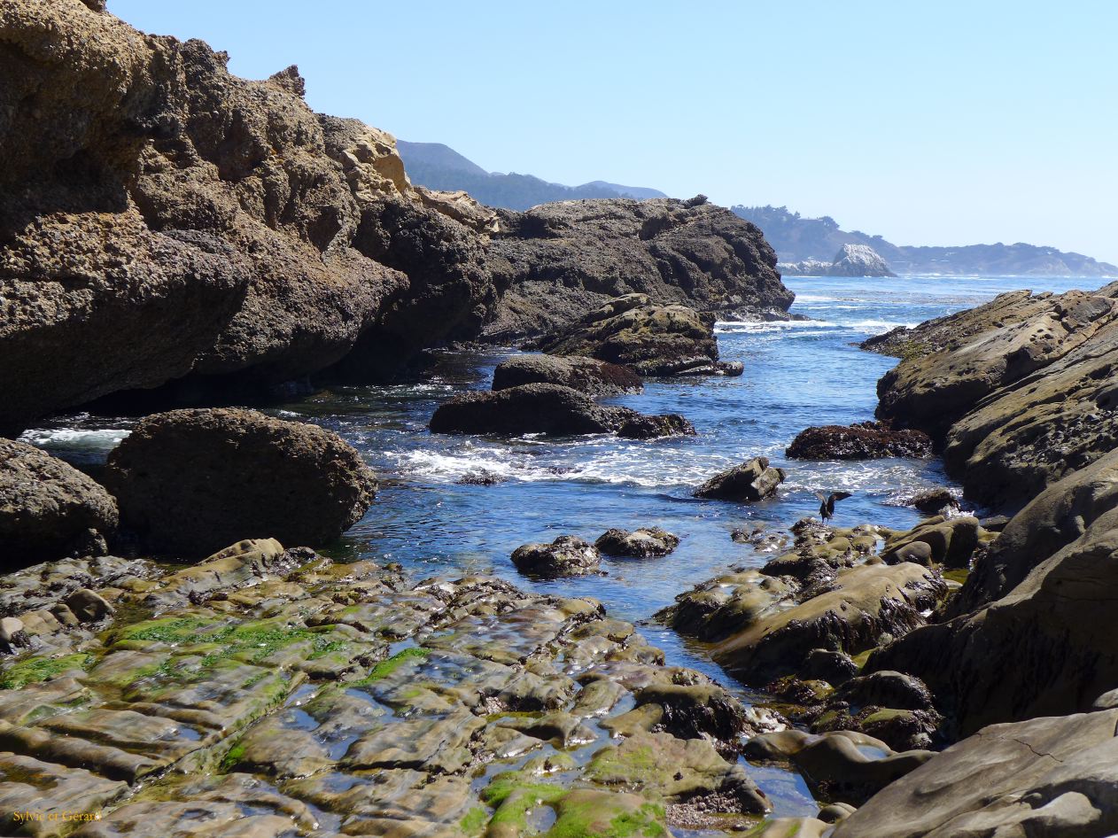 M 13 Point Lobos