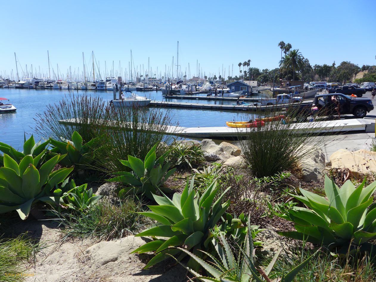 R 05 Santa Barbara