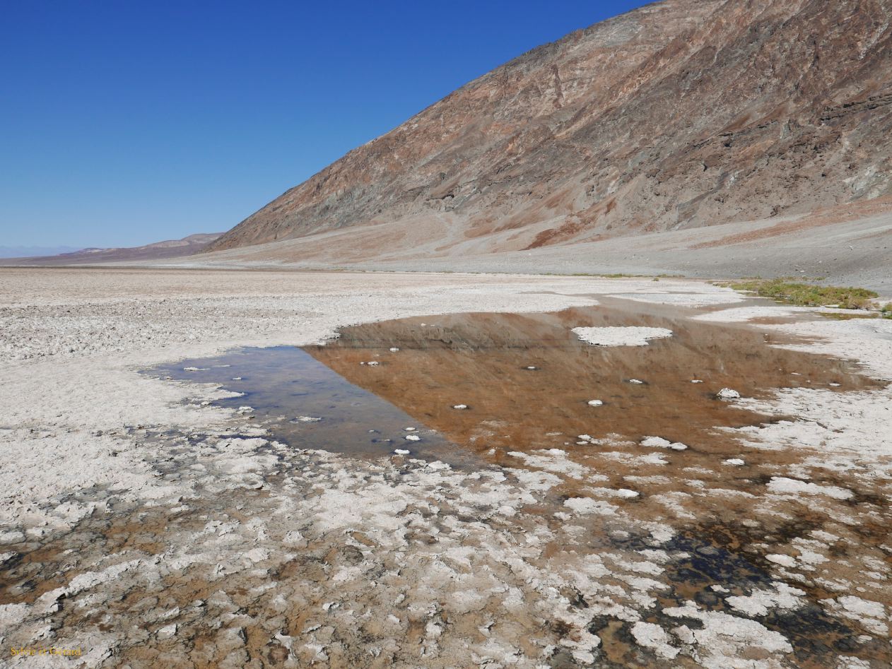 A 21 Vallée de la Mort Bad Water 86 m sous le niveau de la mer