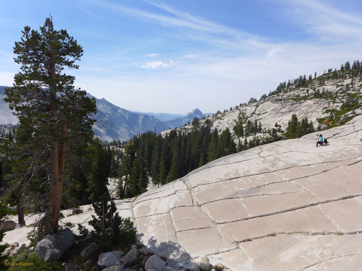 C 10 Yosemite Olmsetd Point