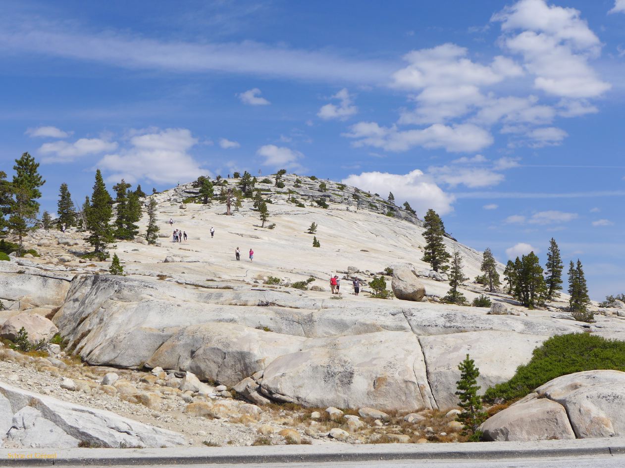 C 11 Yosemite