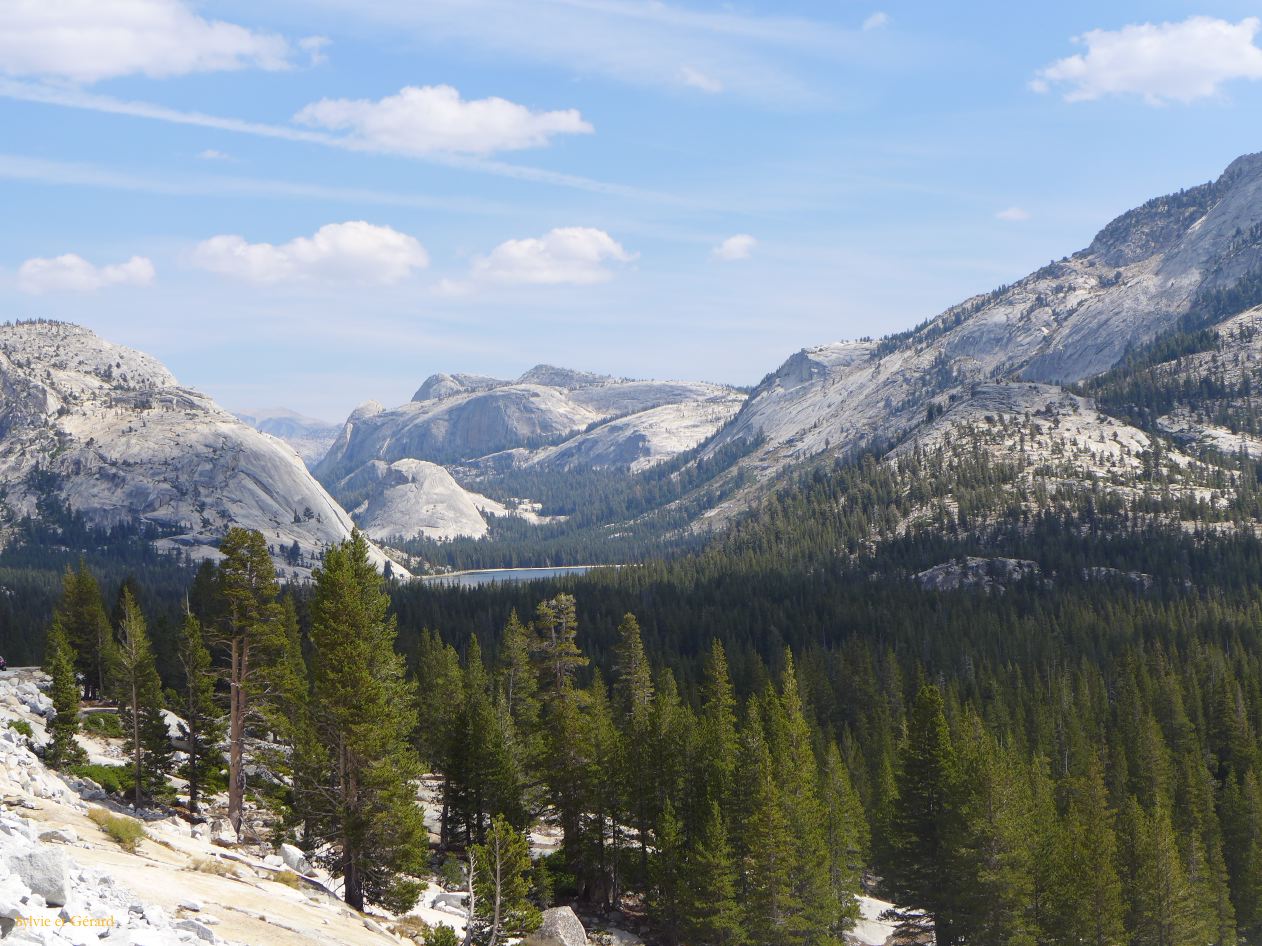 C 12 Yosemite