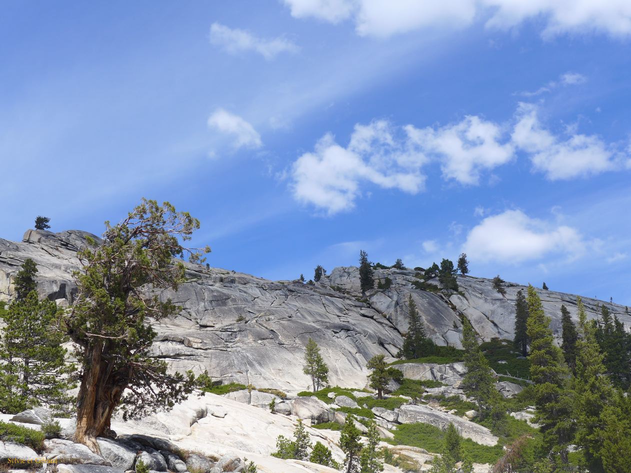 C 13 Yosemite
