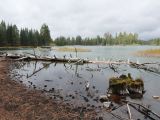 F 05 Lassen Volcanic NP 