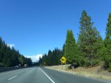 G 08 vers Shasta Dam