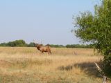 I 05 San Luis Reserve