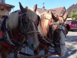 O 04 Solvang