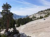 C 10 Yosemite Olmsetd Point