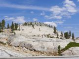 C 11 Yosemite