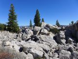  WYOMING A YELLOWSTONE 49
