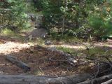 WYOMING Grand Teton 06 
