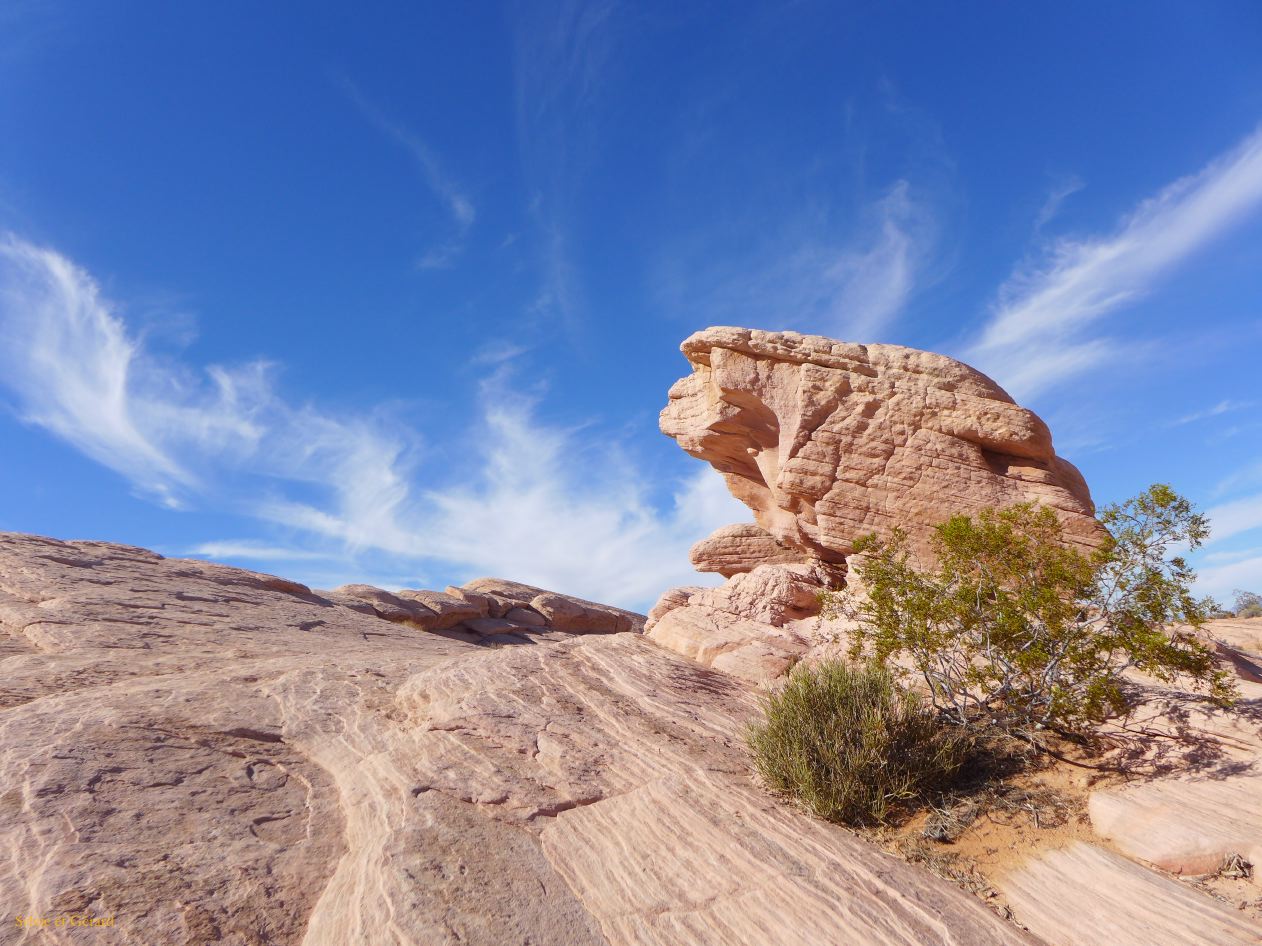 NEVADA Valley of Fire 06