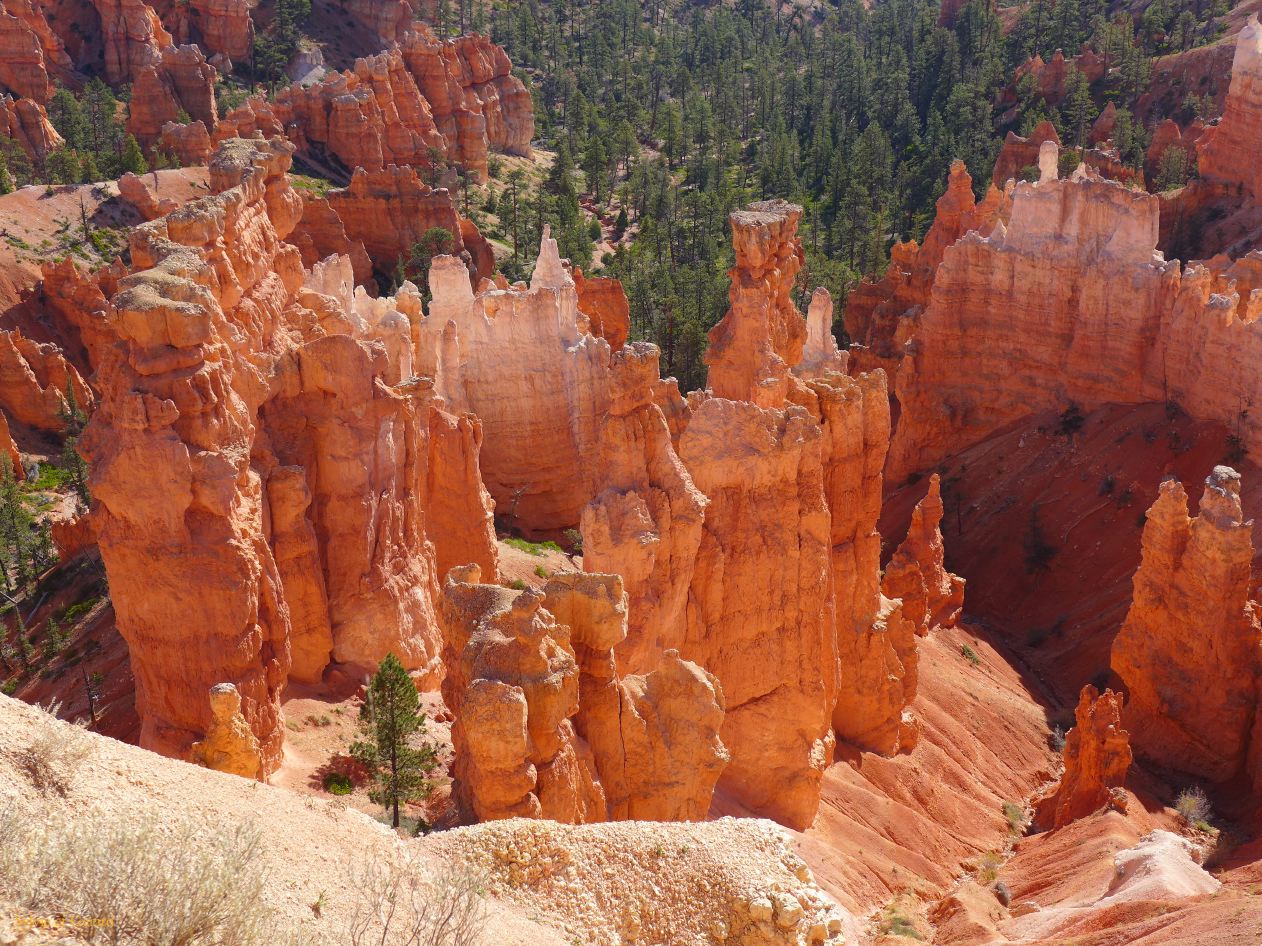 UTAH Bryce Canyon 04
