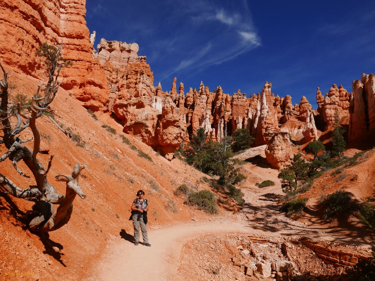 UTAH Bryce Canyon 12