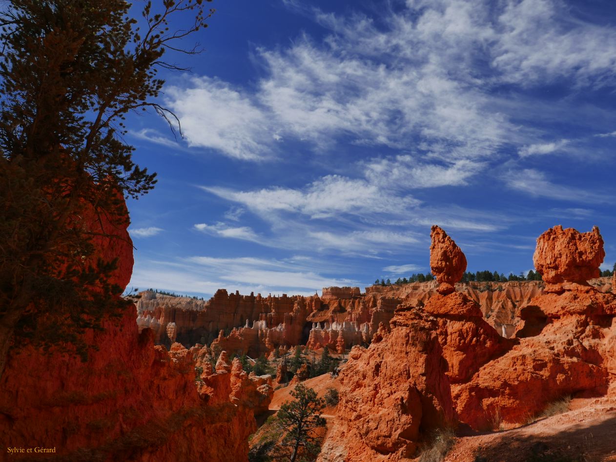 UTAH Bryce Canyon 16
