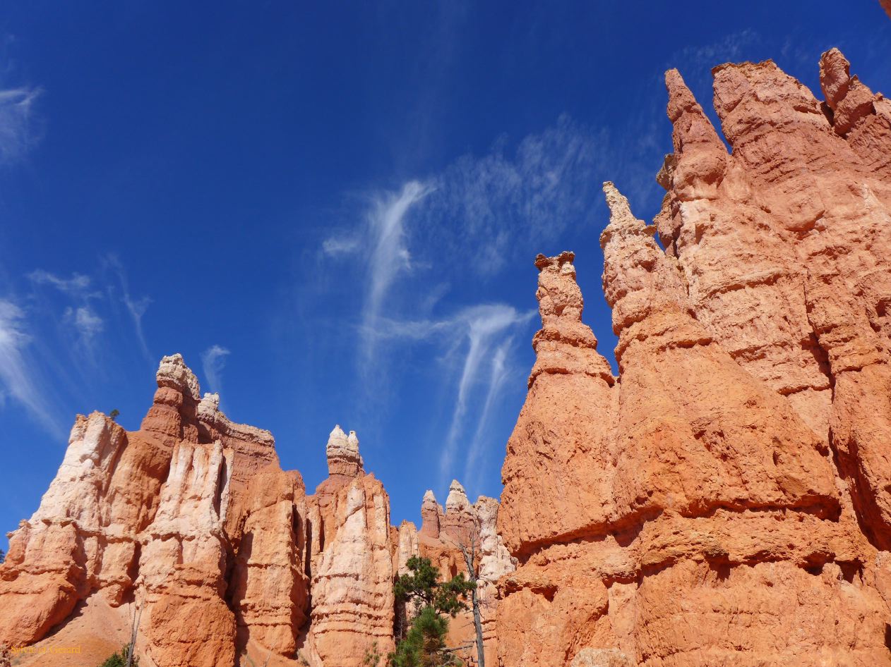 UTAH Bryce Canyon 19