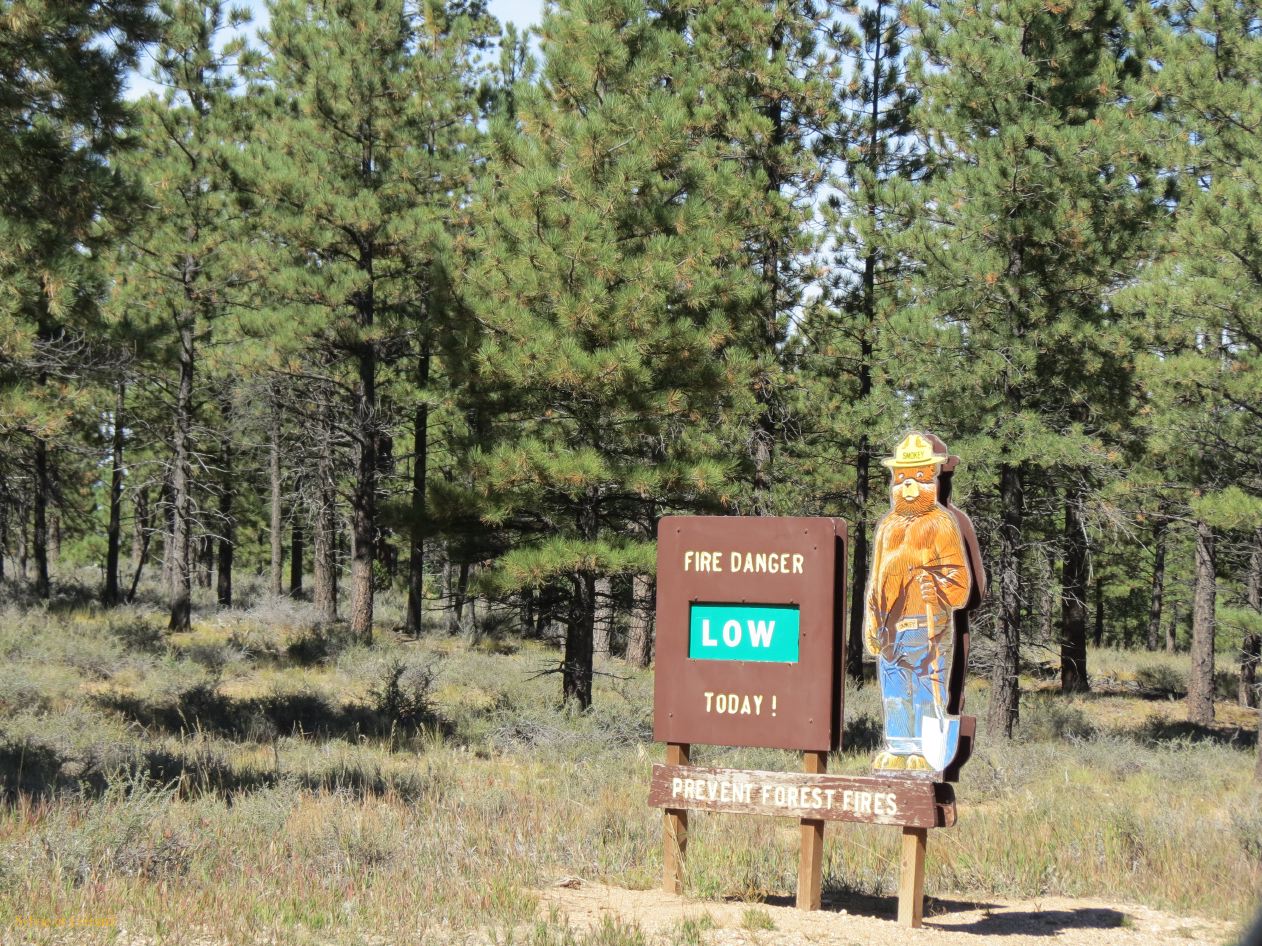 UTAH Bryce Canyon 20 