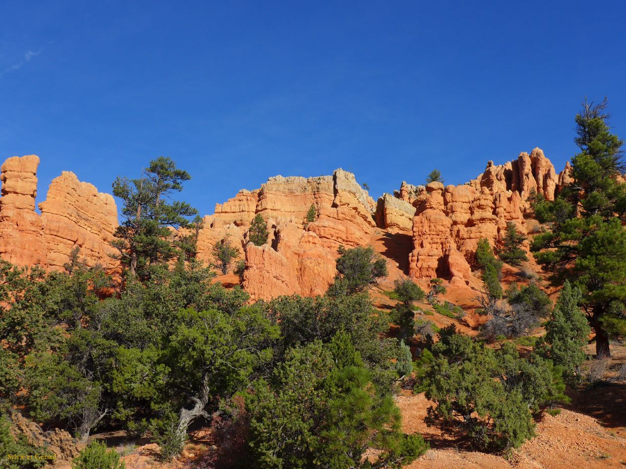 UTAH Bryce Canyon Red Canyon 01