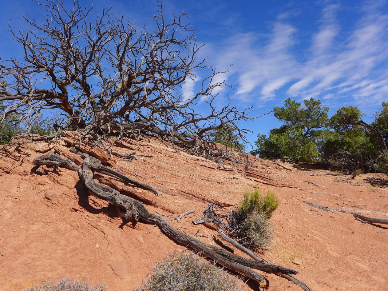 UTAH Canyon Land 04