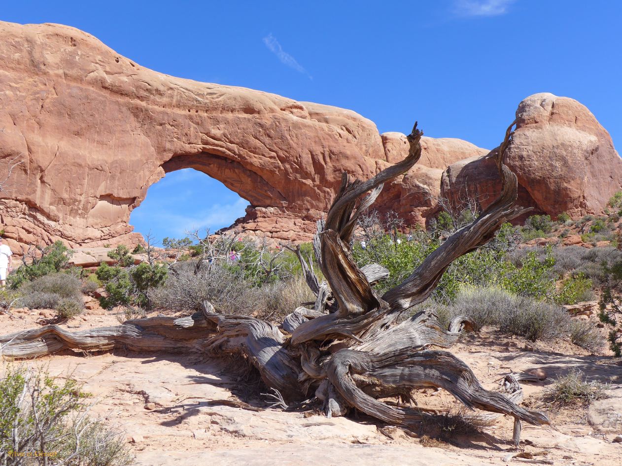 UTAH Moab Arches 11 Window