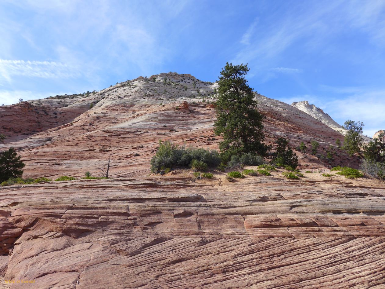 UTAH Zion 02