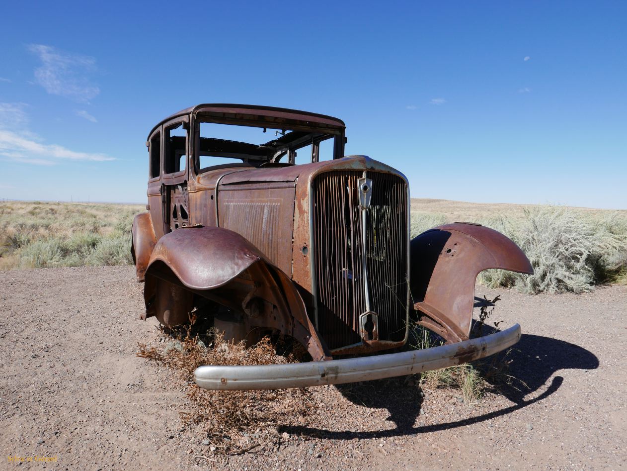 ARIZONA Petrified Forest 04