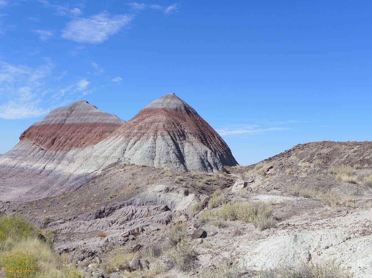 ARIZONA Petrified Forest 05
