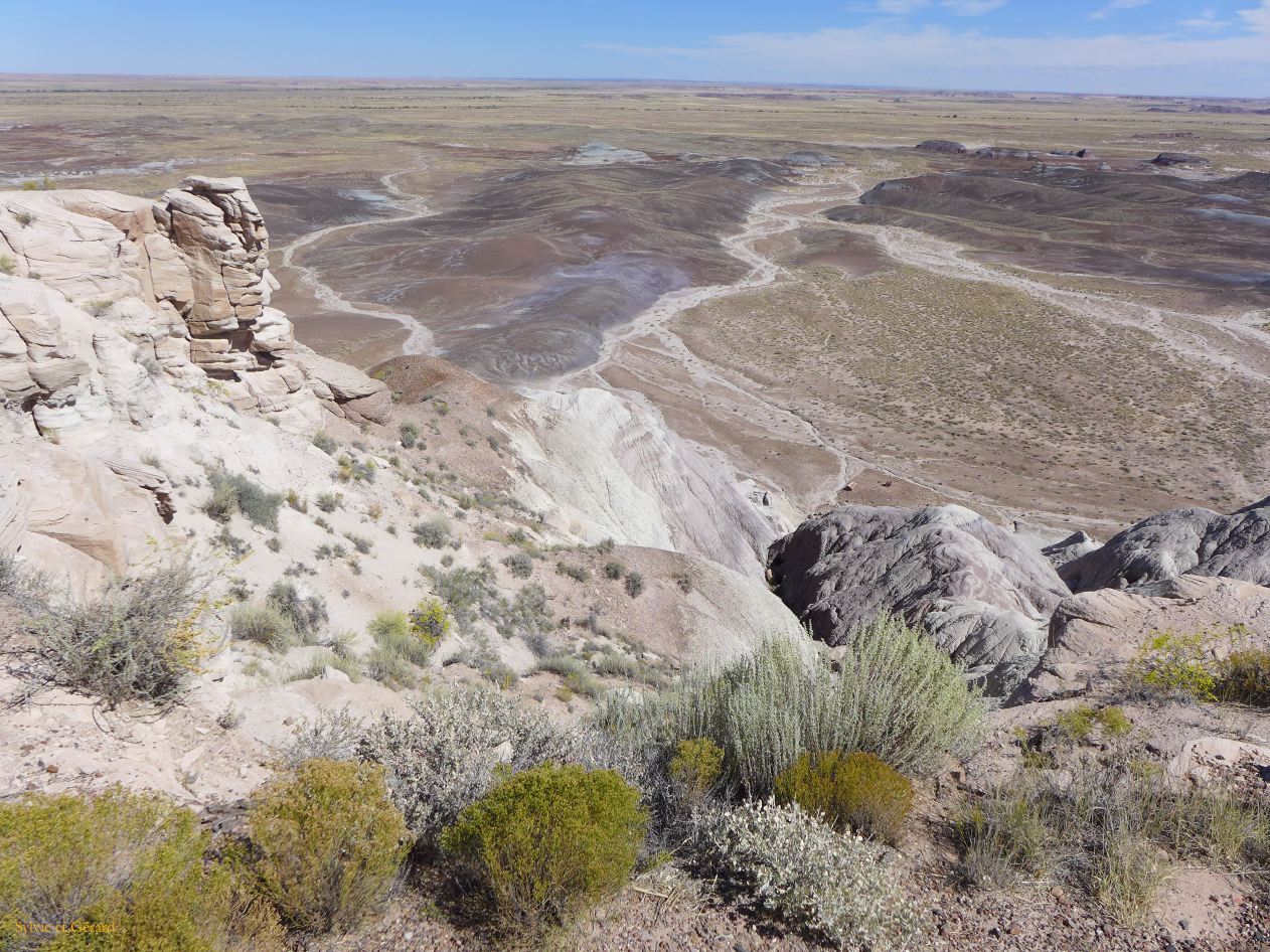 ARIZONA Petrified Forest 10