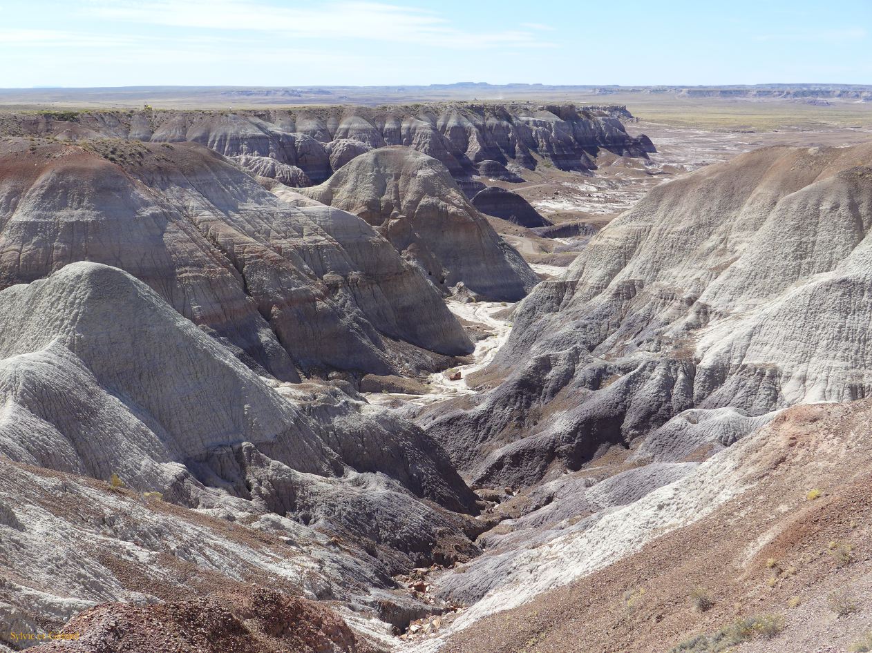 ARIZONA Petrified Forest 11
