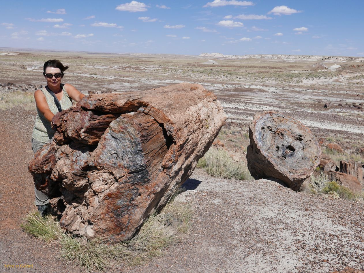ARIZONA Petrified Forest 17