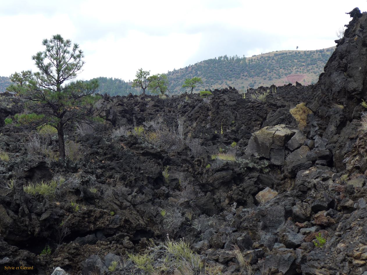 ARIZONA Sunset Crater 01