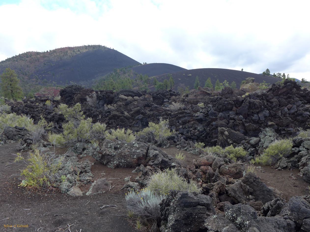ARIZONA Sunset Crater 05