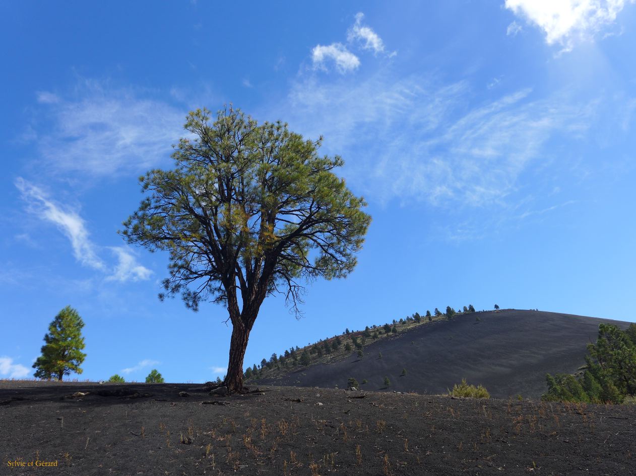 ARIZONA Sunset Crater 07 derniere eruption il y a 1000 ans