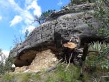 ARIZONA Walnut Canyon 04