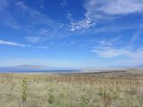 NEVADA Antelope Island Salt Lake City 06