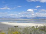 NEVADA Antelope Island Salt Lake City 19