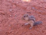 NEVADA Valley of Fire 13