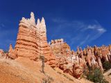 UTAH Bryce Canyon 08
