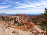 UTAH Bryce Canyon 14
