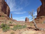 UTAH Moab Arches 01 Parc Avenue