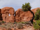 UTAH Moab Arches 17