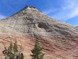 UTAH Zion 01