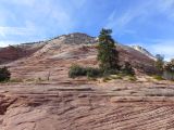 UTAH Zion 02