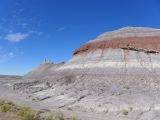 ARIZONA Petrified Forest 06