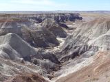 ARIZONA Petrified Forest 11